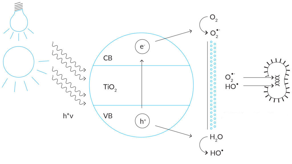 Terranow CleanCoat Chemische Wirkungsweise